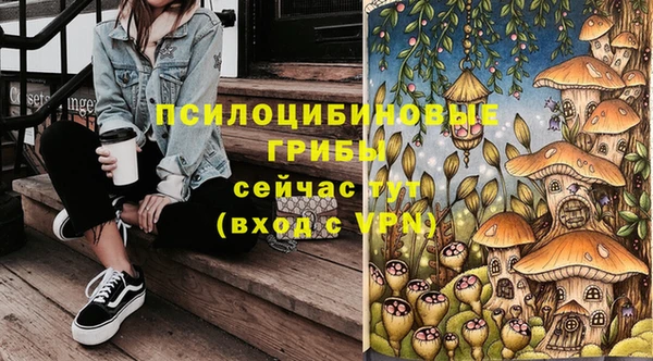 кокс Алзамай