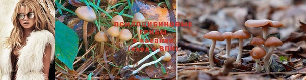 экстази Аркадак