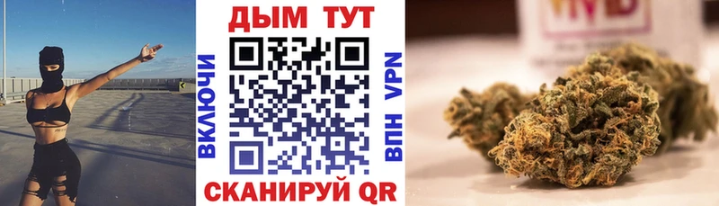 Бошки марихуана VHQ где найти Новый Оскол